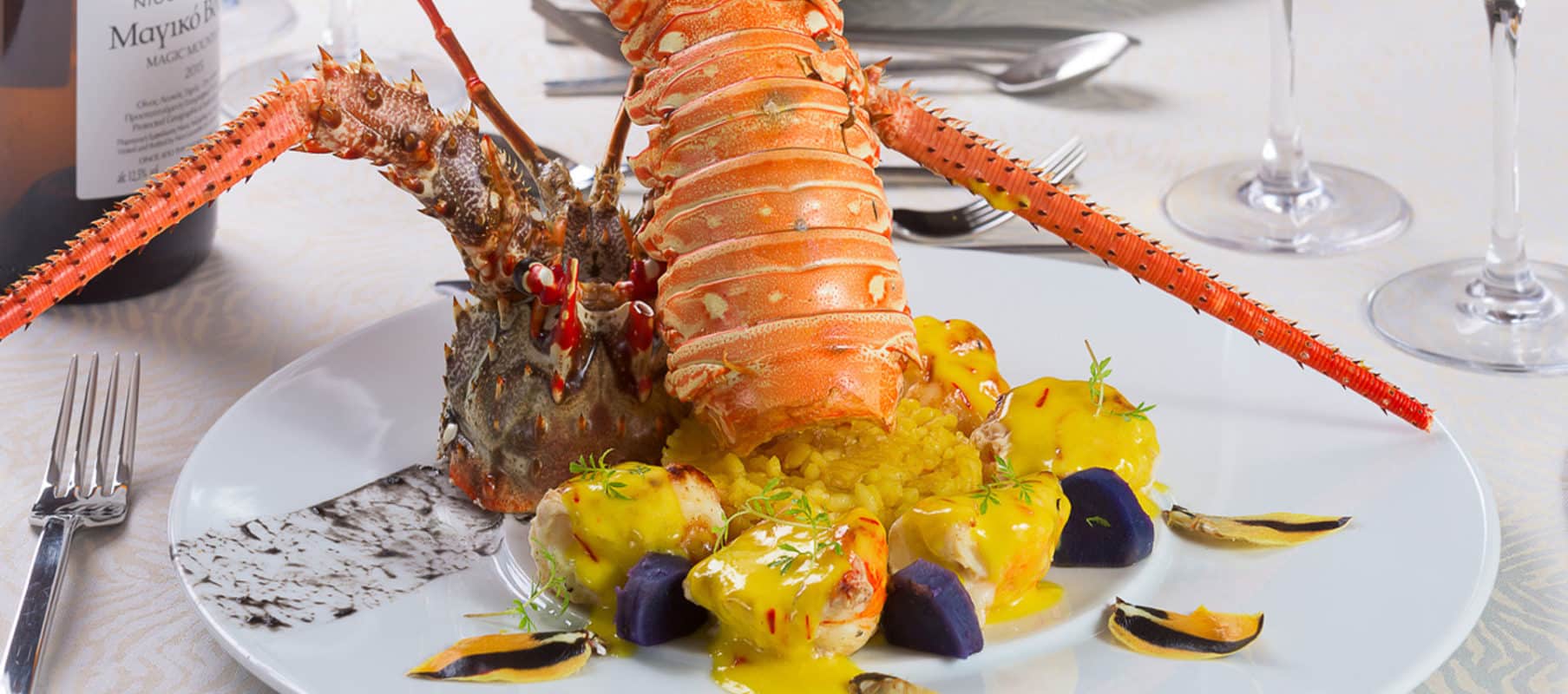 lobster_for_stand1920x850